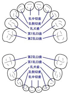 f2_2.gif